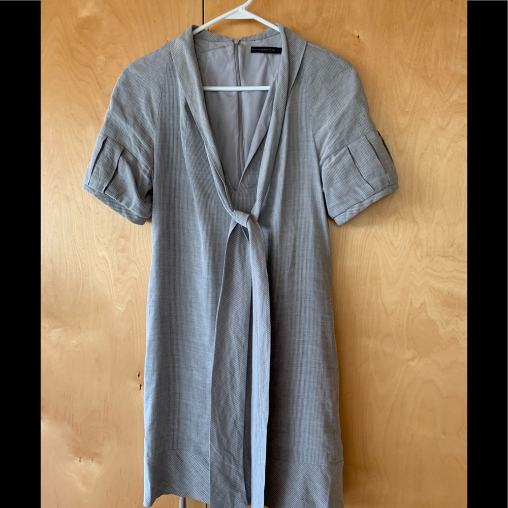 Develoment by erica davies dress